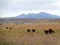 Western view from the ranch of the San Francisco Peaks